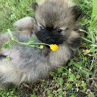 processed/d069ebfb-854f-4f77-b8fc-ee403d58954f/facility/d7c9e873-9c62-4d80-9651-77bc50150bd5