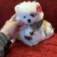 processed/d069ebfb-854f-4f77-b8fc-ee403d58954f/facility/e01e01cf-3168-4bf3-90da-2dada7df5d8b