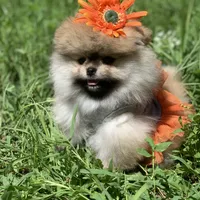 processed/d069ebfb-854f-4f77-b8fc-ee403d58954f/facility/f156fabd-0507-4669-b3db-d6fd7d6cf784