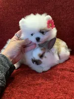 processed/d069ebfb-854f-4f77-b8fc-ee403d58954f/facility/f35549df-15c9-49d8-86c8-761a156fb5ed