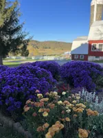 processed/d0764647-6464-4c06-875e-aeea1e673ddd/facility/5955bc12-e047-4d55-9d7c-0d57e7ee200a