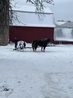 processed/d0764647-6464-4c06-875e-aeea1e673ddd/facility/63d4c422-9785-491b-9c8d-3bcca4d38709