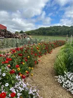 processed/d0764647-6464-4c06-875e-aeea1e673ddd/facility/94e96f28-1749-4b54-8862-f852cc2199c3