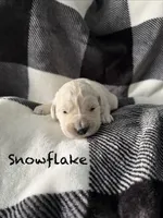 processed/d0764647-6464-4c06-875e-aeea1e673ddd/listing/17d4c86c-86df-4a1e-8535-40bc0a2471e0/29ff9cb4-72ab-41eb-a761-fe53283a4625