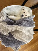 processed/d0764647-6464-4c06-875e-aeea1e673ddd/listing/17d4c86c-86df-4a1e-8535-40bc0a2471e0/ba600e5c-621f-4212-bdcc-da77e54bb05d