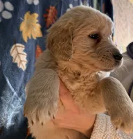 processed/d0764647-6464-4c06-875e-aeea1e673ddd/listing/68734d55-1349-4174-9734-6c571d9ce30e/502eaaf0-977a-4bf4-8bea-7334f41bfdf4