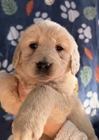 processed/d0764647-6464-4c06-875e-aeea1e673ddd/listing/68734d55-1349-4174-9734-6c571d9ce30e/ca0b5ec3-7234-4ea3-b983-ec3bb4447f0a