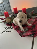 processed/d0764647-6464-4c06-875e-aeea1e673ddd/listing/68734d55-1349-4174-9734-6c571d9ce30e/de614602-7583-477c-91d2-edc62fd97089