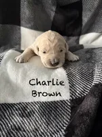 processed/d0764647-6464-4c06-875e-aeea1e673ddd/listing/68734d55-1349-4174-9734-6c571d9ce30e/e6c78987-b48e-43bb-be97-6dadf4a687f5