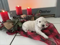 processed/d0764647-6464-4c06-875e-aeea1e673ddd/listing/ae6981ad-a9a0-4d75-b1cf-8faab6d7fb58/4dd88ad7-2253-4aa8-986b-fcb16992c486