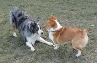 processed/d07ef589-8a00-43bc-887b-33dc536e3905/facility/295b6de4-7864-4a30-b8a6-81014d022988