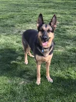 processed/d07ef589-8a00-43bc-887b-33dc536e3905/facility/90d5a2cd-903d-4198-b064-2388745aff76