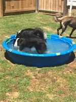 processed/d07ef589-8a00-43bc-887b-33dc536e3905/facility/ad398f29-139a-4e9b-a0cb-1f774ec656d8