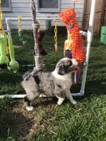 processed/d07ef589-8a00-43bc-887b-33dc536e3905/facility/ffb42611-f558-45e4-b907-95700fbae5d4