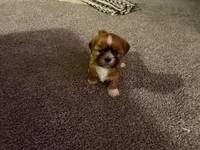 processed/d092e7fb-44e3-4026-80a1-f7c2814f5b83/facility/234d5bae-3df2-4d80-a523-0f6a7e16aded