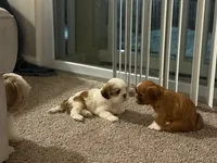 processed/d092e7fb-44e3-4026-80a1-f7c2814f5b83/facility/4eba41fa-71bf-4865-b8ed-a0f622544581