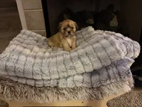 processed/d092e7fb-44e3-4026-80a1-f7c2814f5b83/facility/a7e038b3-95ac-43c1-b4cd-a728fccb098c