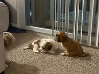 processed/d092e7fb-44e3-4026-80a1-f7c2814f5b83/facility/f55207d5-c4e2-429a-88ad-7d1e1ef131dc