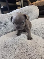 processed/d09740e2-f041-4cb2-a37d-b07a3a8b3fc9/listing/ba89e46b-a9b6-4b8c-9ee2-f82ee6d18aff/0c2688b9-c340-4ad3-b965-708a4479ccca