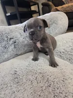 processed/d09740e2-f041-4cb2-a37d-b07a3a8b3fc9/listing/ba89e46b-a9b6-4b8c-9ee2-f82ee6d18aff/af5dfe9e-44c6-4c67-ac19-039ad92a6174