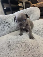 processed/d09740e2-f041-4cb2-a37d-b07a3a8b3fc9/listing/ba89e46b-a9b6-4b8c-9ee2-f82ee6d18aff/e1edb574-dc5a-4295-8a5e-2c33e51209c3