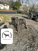 processed/d0a1ff5e-40ae-4722-9c55-5f2bc8e9c43c/listing/8ae223cb-9ecb-44b2-92f4-940cafa3213a/35170939-89e0-475b-b655-03b593411caa