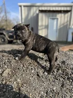 processed/d0a1ff5e-40ae-4722-9c55-5f2bc8e9c43c/listing/8ae223cb-9ecb-44b2-92f4-940cafa3213a/c4a3ca3c-927f-4e10-b281-48b6e3e1efe7