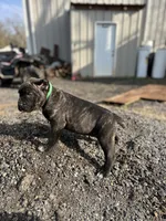 processed/d0a1ff5e-40ae-4722-9c55-5f2bc8e9c43c/listing/8ae223cb-9ecb-44b2-92f4-940cafa3213a/fa1e68bc-25a9-402e-8da4-e9af7887ed46