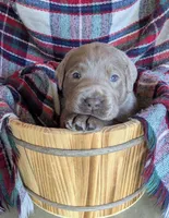 processed/d0a7abcf-998b-4142-9f5a-58b6a1613685/listing/b1264ec5-40d1-4726-bd1f-64e41733543b/74a91993-588f-42b9-bb4b-b1c98590d34a