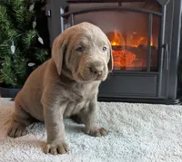 processed/d0a7abcf-998b-4142-9f5a-58b6a1613685/listing/b1264ec5-40d1-4726-bd1f-64e41733543b/b5d21ba9-5f57-4d6d-a60d-4fffa563ab16