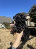 processed/d0a9f115-630b-46ba-95dd-2c247445c1ca/listing/2c548de1-0d7b-40fe-9a45-64fc20b31af6/815c3bce-bf97-4561-b09b-07e3c87d1d5c