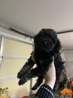 processed/d0a9f115-630b-46ba-95dd-2c247445c1ca/listing/2c548de1-0d7b-40fe-9a45-64fc20b31af6/9148dae9-2b9f-425f-9943-4cc57334873b