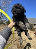 processed/d0a9f115-630b-46ba-95dd-2c247445c1ca/listing/2c548de1-0d7b-40fe-9a45-64fc20b31af6/9a1531c7-c179-4c22-a56f-5d2daef10f72