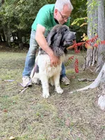 processed/d0bbaa2d-87d9-49cc-b4a9-8cd85739e019/listing/384537f2-c9f3-4974-878f-85d950148c4f/09382d8a-590a-4634-93e3-3f4a5cc1159e