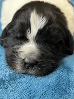 processed/d0bbaa2d-87d9-49cc-b4a9-8cd85739e019/listing/384537f2-c9f3-4974-878f-85d950148c4f/36e3f34e-d046-4a22-85e9-9a93f6e9df32