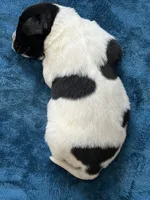 processed/d0bbaa2d-87d9-49cc-b4a9-8cd85739e019/listing/384537f2-c9f3-4974-878f-85d950148c4f/b16d1ed2-1ffa-4dca-8cff-e9b12367b44a