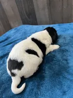 processed/d0bbaa2d-87d9-49cc-b4a9-8cd85739e019/listing/384537f2-c9f3-4974-878f-85d950148c4f/c0399e8f-fba7-40ae-a139-404cc5c505ee