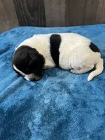 processed/d0bbaa2d-87d9-49cc-b4a9-8cd85739e019/listing/384537f2-c9f3-4974-878f-85d950148c4f/d2fedb48-2dff-4834-84d5-159e7488b2df