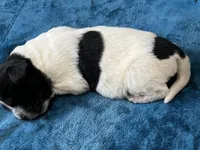 processed/d0bbaa2d-87d9-49cc-b4a9-8cd85739e019/listing/384537f2-c9f3-4974-878f-85d950148c4f/fafdb8cb-2b8c-467c-9c55-cf71cba813d8