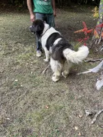 processed/d0bbaa2d-87d9-49cc-b4a9-8cd85739e019/listing/aef7ba7b-ee11-45e7-8b8e-4fd8faaf8369/09be8134-0444-4afb-a409-22131422d660