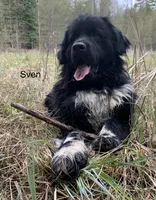 processed/d0bbaa2d-87d9-49cc-b4a9-8cd85739e019/listing/aef7ba7b-ee11-45e7-8b8e-4fd8faaf8369/5c4dce81-9fa6-4dd6-88c7-f689e939acdf