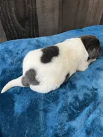 processed/d0bbaa2d-87d9-49cc-b4a9-8cd85739e019/listing/aef7ba7b-ee11-45e7-8b8e-4fd8faaf8369/89d86192-8804-42b8-b748-5e2161267287