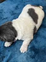 processed/d0bbaa2d-87d9-49cc-b4a9-8cd85739e019/listing/aef7ba7b-ee11-45e7-8b8e-4fd8faaf8369/9f0d041a-8e47-4455-958d-a15c9a0f28f1