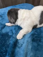 processed/d0bbaa2d-87d9-49cc-b4a9-8cd85739e019/listing/aef7ba7b-ee11-45e7-8b8e-4fd8faaf8369/d1fea139-d764-4736-91f9-9346b20f19cc