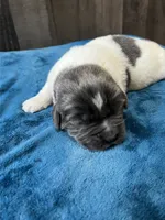 processed/d0bbaa2d-87d9-49cc-b4a9-8cd85739e019/listing/aef7ba7b-ee11-45e7-8b8e-4fd8faaf8369/f2be6c52-9e2f-4b95-9cfb-75844863a63e