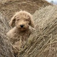 processed/d0c5341e-7bf9-4352-a420-f67d03a43396/facility/0fe7972a-b9e4-4245-8b8d-5dff0efc3fd0