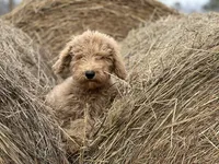 processed/d0c5341e-7bf9-4352-a420-f67d03a43396/facility/0fe7972a-b9e4-4245-8b8d-5dff0efc3fd0