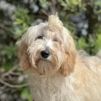 processed/d0c5341e-7bf9-4352-a420-f67d03a43396/facility/132988bd-7a5c-4c6c-9242-6724c48f5ba3