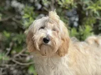 processed/d0c5341e-7bf9-4352-a420-f67d03a43396/facility/132988bd-7a5c-4c6c-9242-6724c48f5ba3