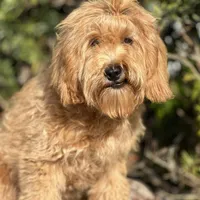 processed/d0c5341e-7bf9-4352-a420-f67d03a43396/facility/1868e7b9-7e49-44cb-9df2-23b2dccddcd9